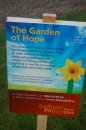 Irish Cancer Society's Garden of Hope