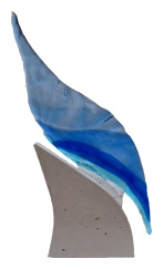 Crystal Clear MSD Health Literacy Awards 2009