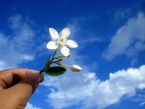 inspirational_quotes_grateful