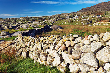 Stone Wall in Countryside, Connemara, Ireland