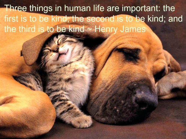 kindness